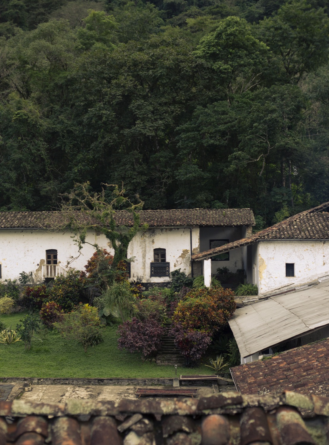 La Hacienda El Jabalí entre la selva de la sierra de Zongolica, Veracruz
